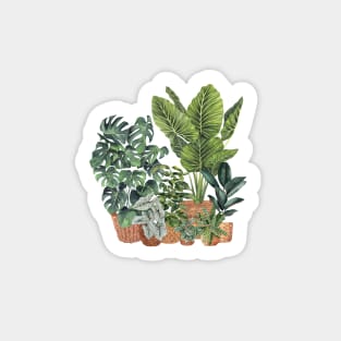 House Plants Illustration 13 Sticker